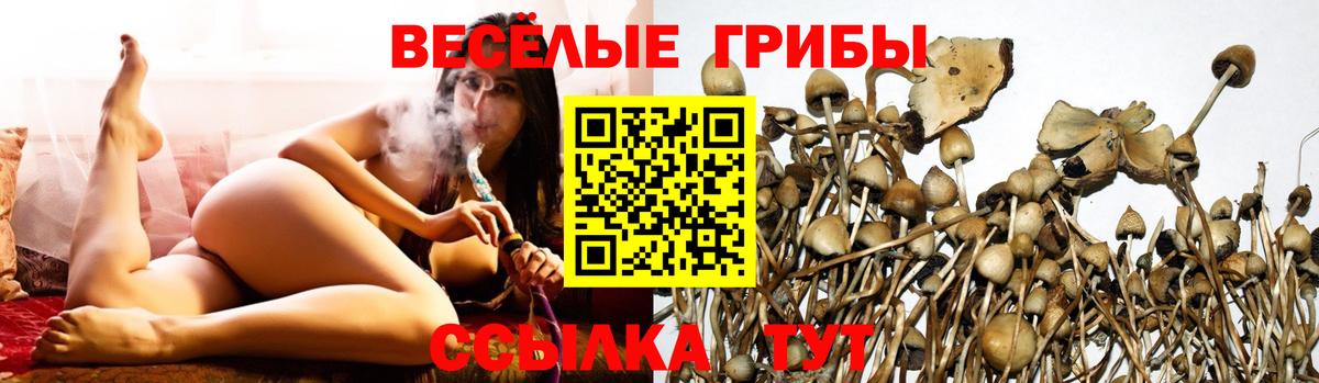 Новокузнецк  Галлюциногенные грибы Cubensis  Вход с VPN  Галлюциногенные грибы Magic Shrooms 
